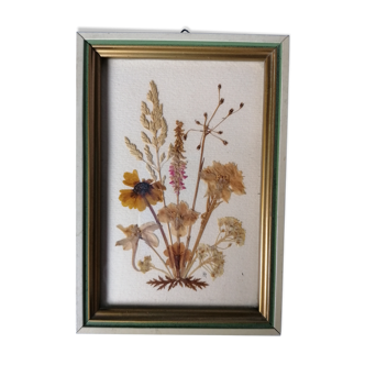 Herbarium