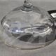 9 old champagne glasses in flat-waisted blown glass