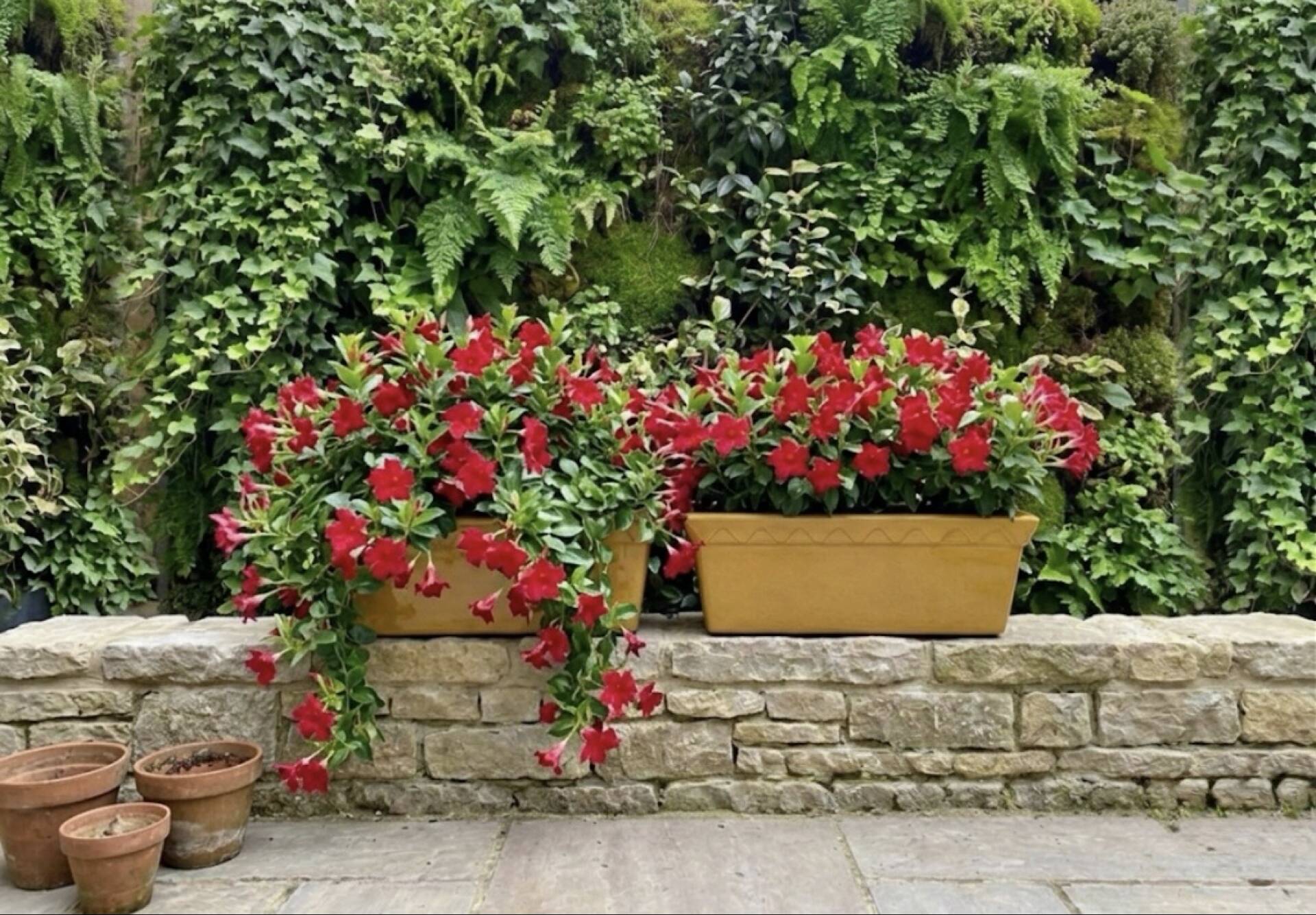 Pair of glazed ceramic planters SILMA Italy - 1970s