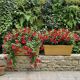 Pair of glazed ceramic planters SILMA Italy - 1970s