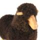 Povl Kjer rocking sheep - design danois