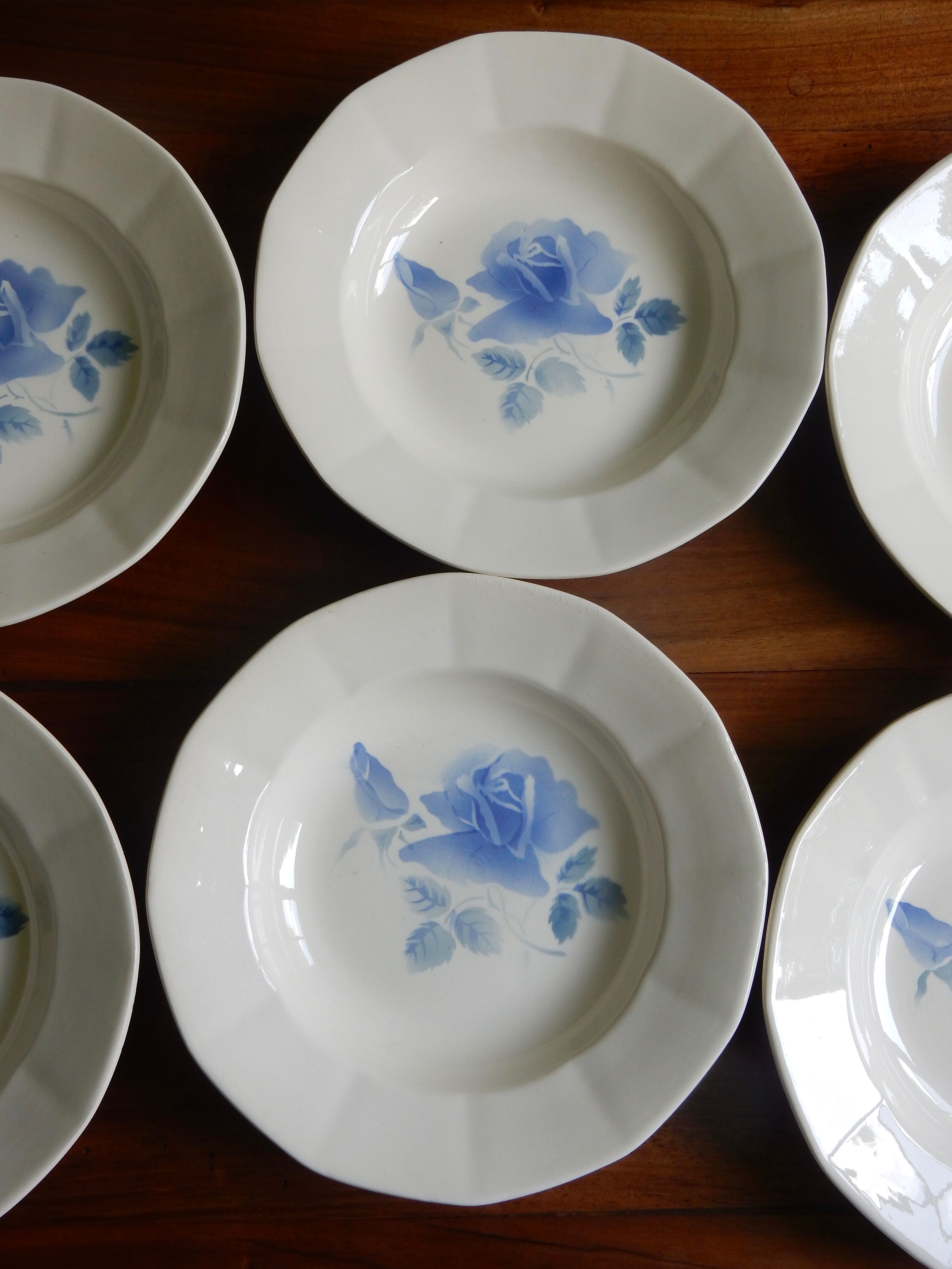 6 hollow plates Digoin Sarreguemines / Pattern Blue Roses