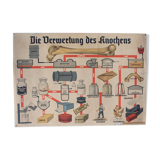 Displays "OS" published by Fröbel - Verlag Leipzig 1903