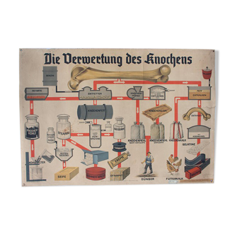 Displays "OS" published by Fröbel - Verlag Leipzig 1903