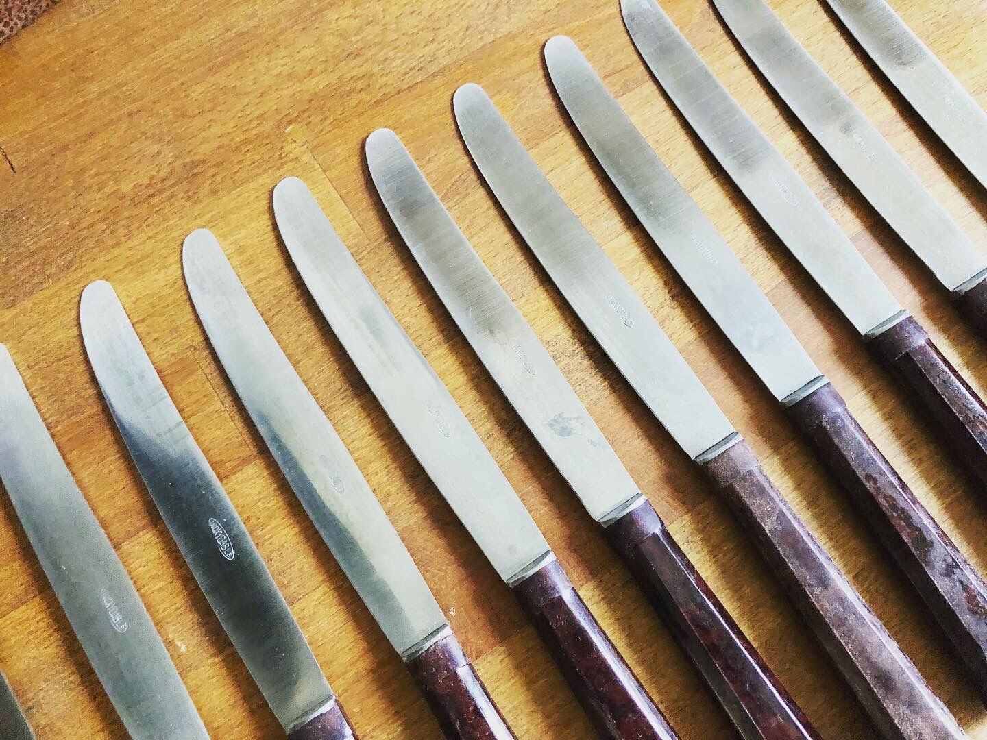 Housewife of 11 knives