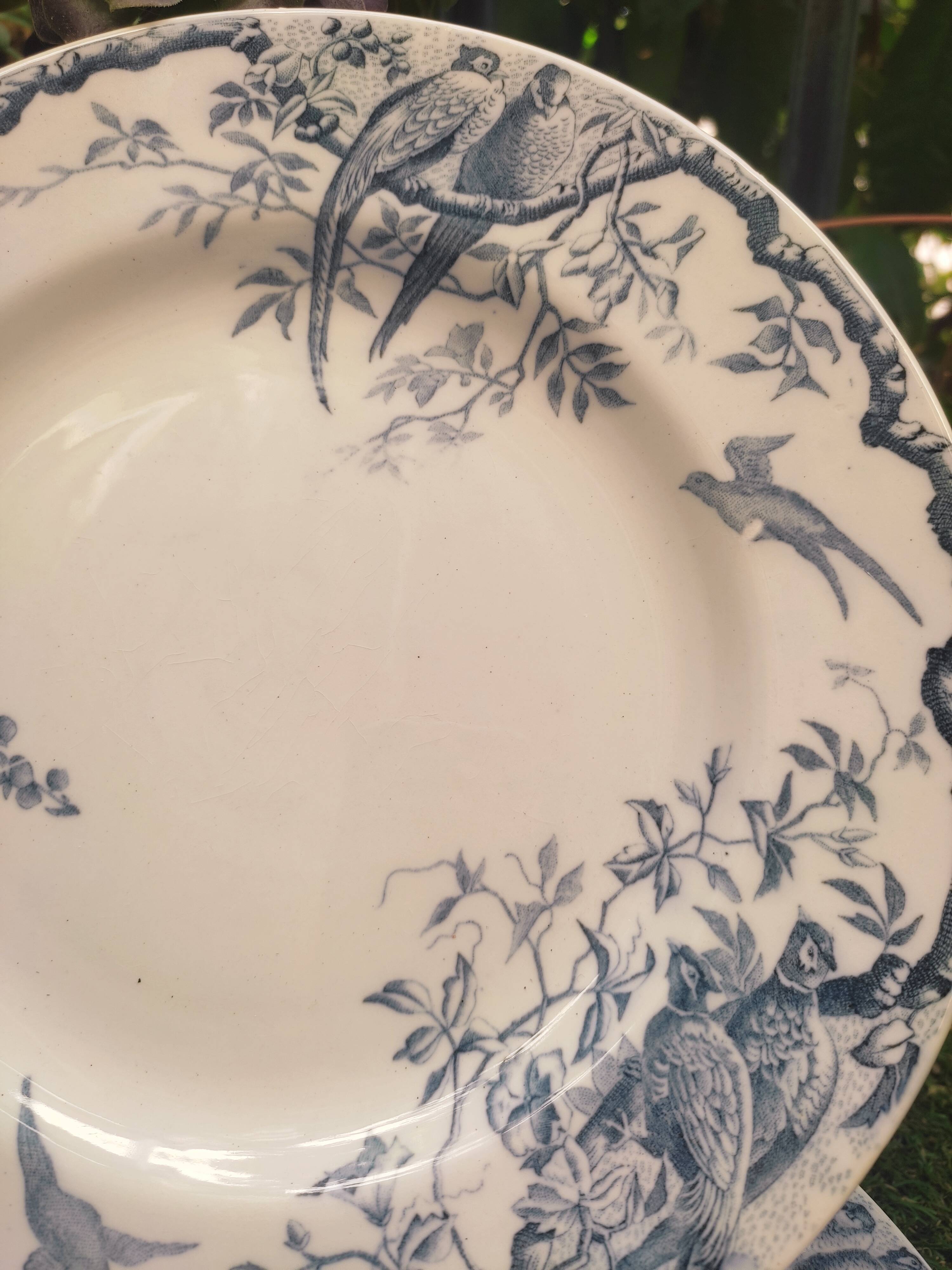 7 plates in earthenware with bird motifs by Lunéville
