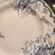 7 plates in earthenware with bird motifs by Lunéville