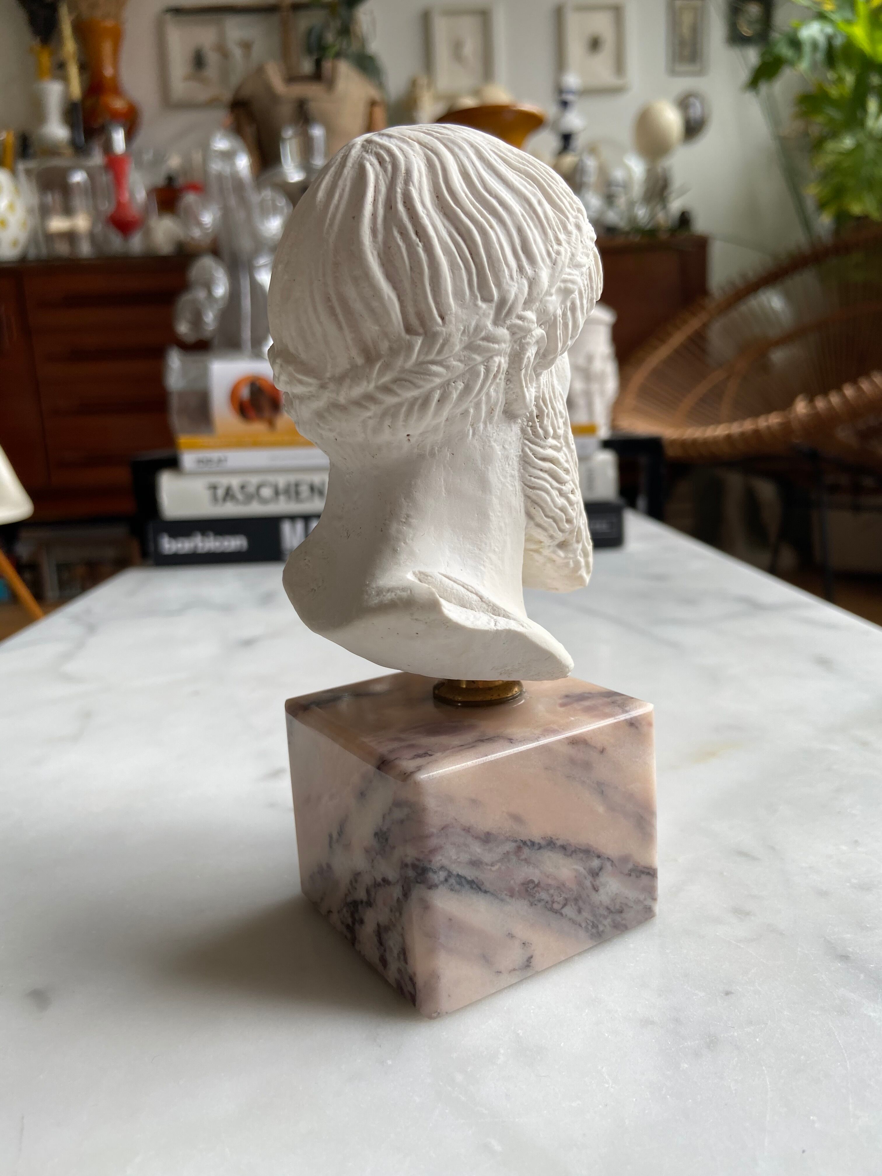 Bust of Zeus in plaster and marble