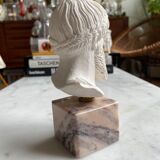 Bust of Zeus in plaster and marble