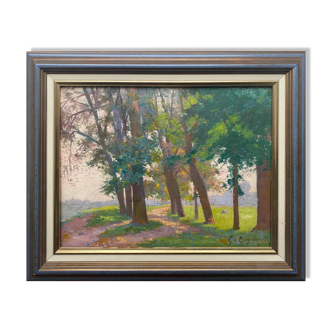 Painting: "Landscape with sunny trees" HSC signed around 1900