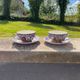 Gien earthenware tea cups and saucers with peony decor