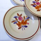 5 assiettes plates