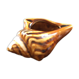 Shell ashtray