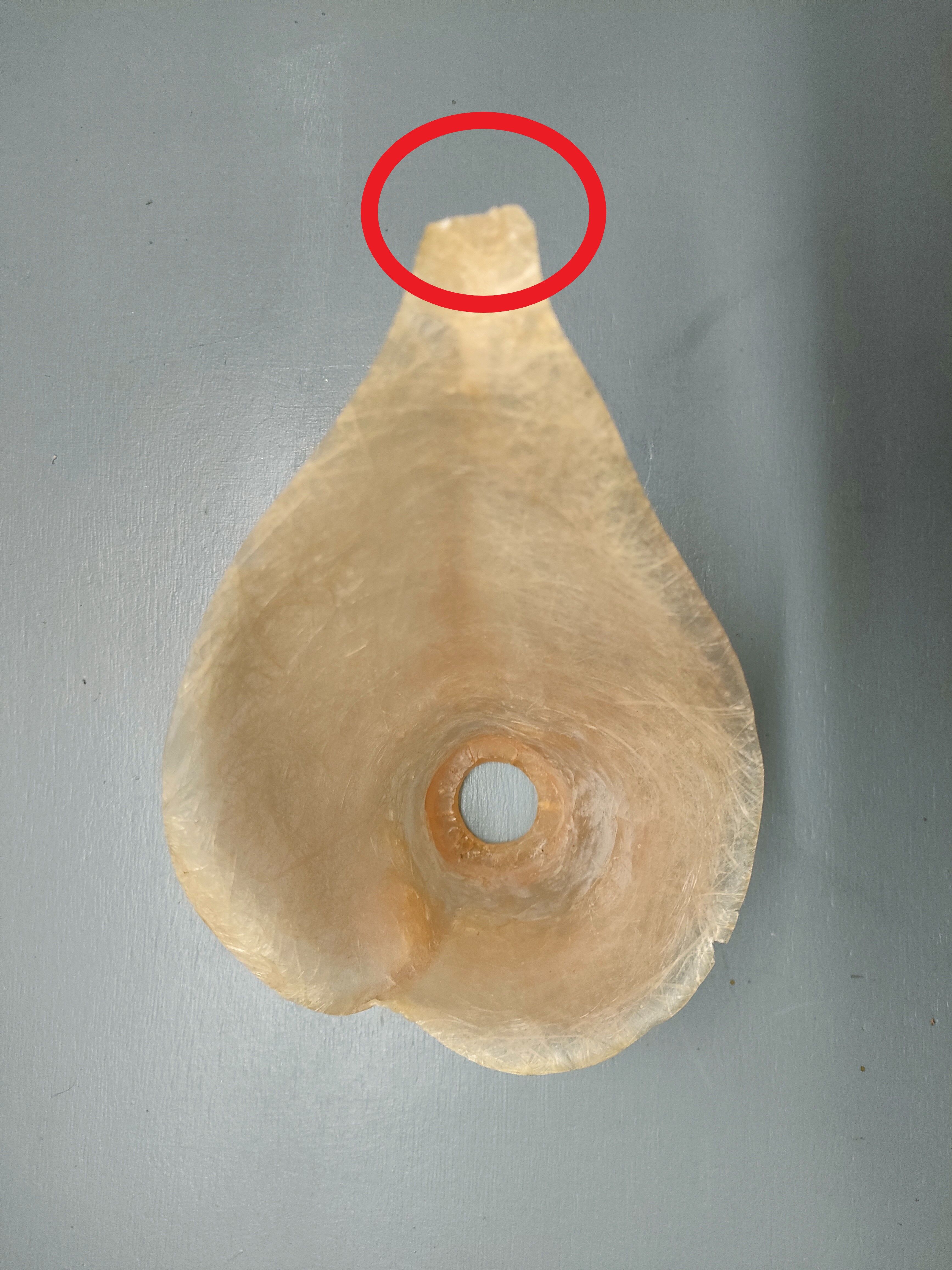 "Arum" table lamp 80's