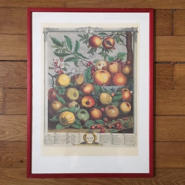 Old English botanical board in May