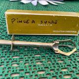 Gallia sugar tongs