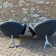 Pair of design armchairs Papageno Jan Armgardt Leolux