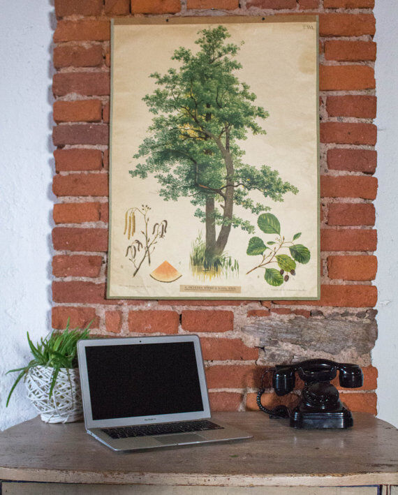 Poster alder tree by Joh. Kautsky sen und g. c. Beck for Gerold & Sohn 1879