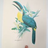 Vintage Exotic Poster