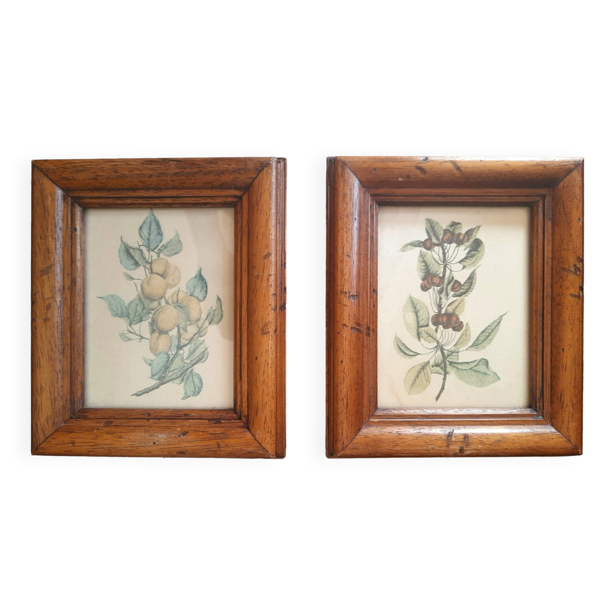 Set of 2 old frames with reproduction of fruits