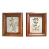 Set of 2 old frames with reproduction of fruits