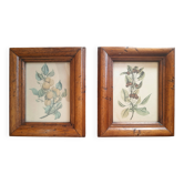 Set of 2 old frames with reproduction of fruits