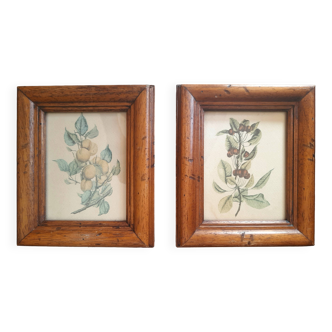 Set of 2 old frames with reproduction of fruits