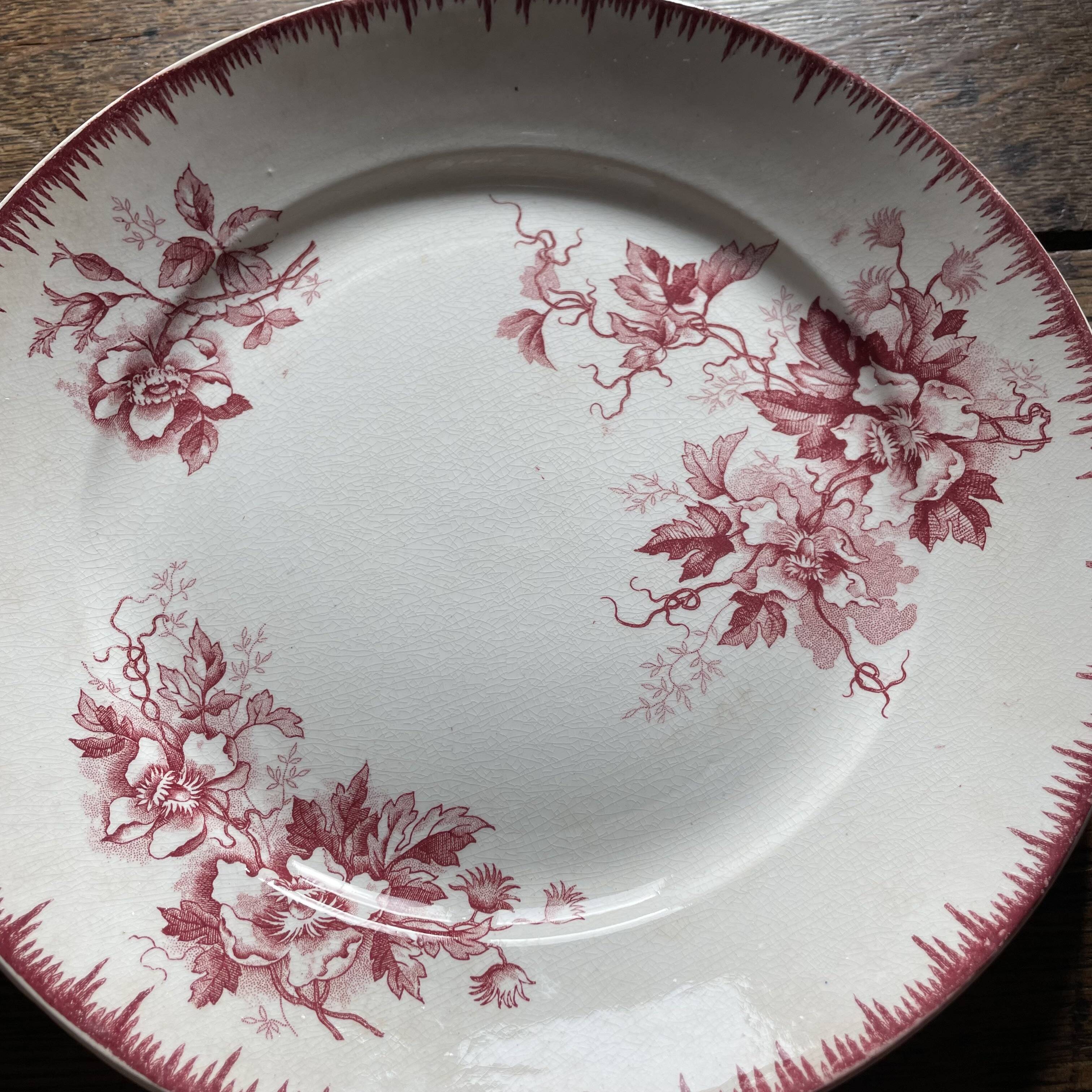 Set of 4 Maastricht earthenware dinner plates