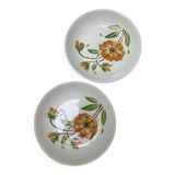 Moulins des Loups soup plates