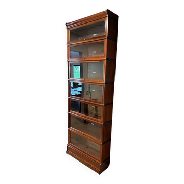 Antique Globe Wernicke Bookcase