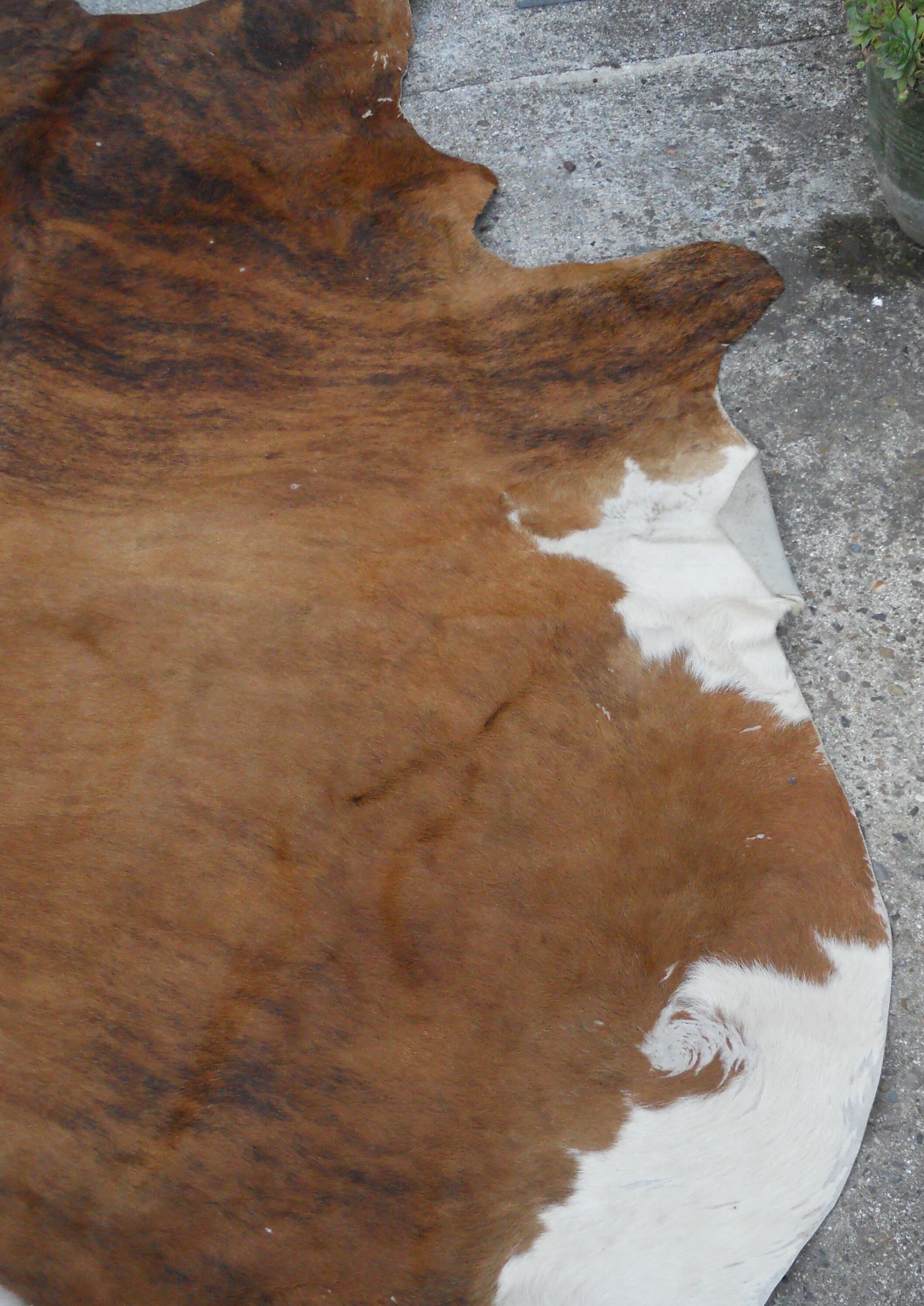 Cowhide