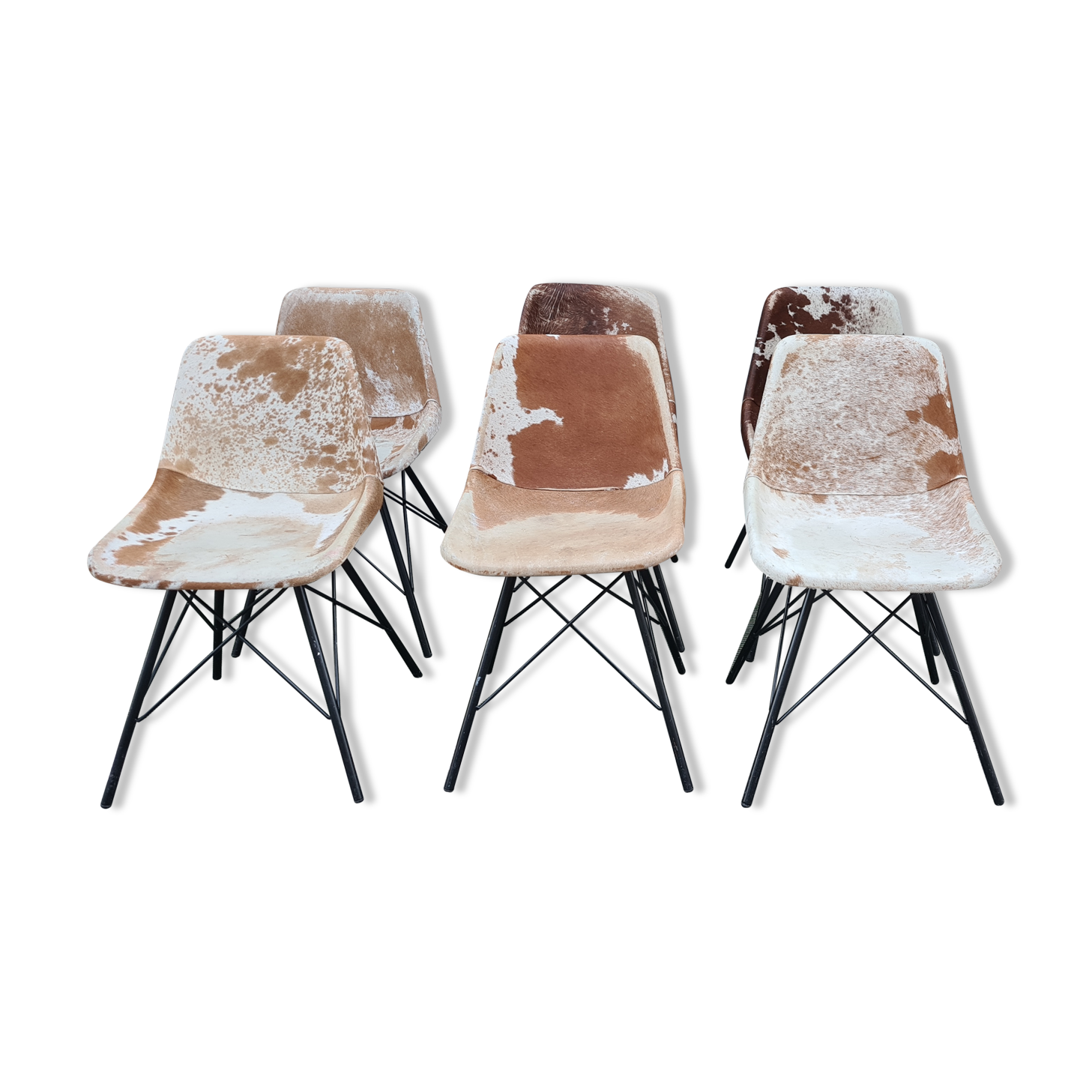 Sete of 6 cow haid chairs
