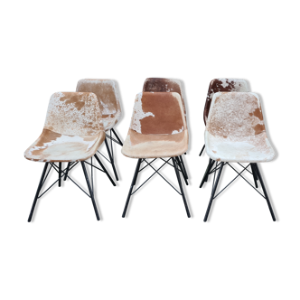 Sete of 6 cow haid chairs