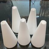 Set of 5 opaline tulips