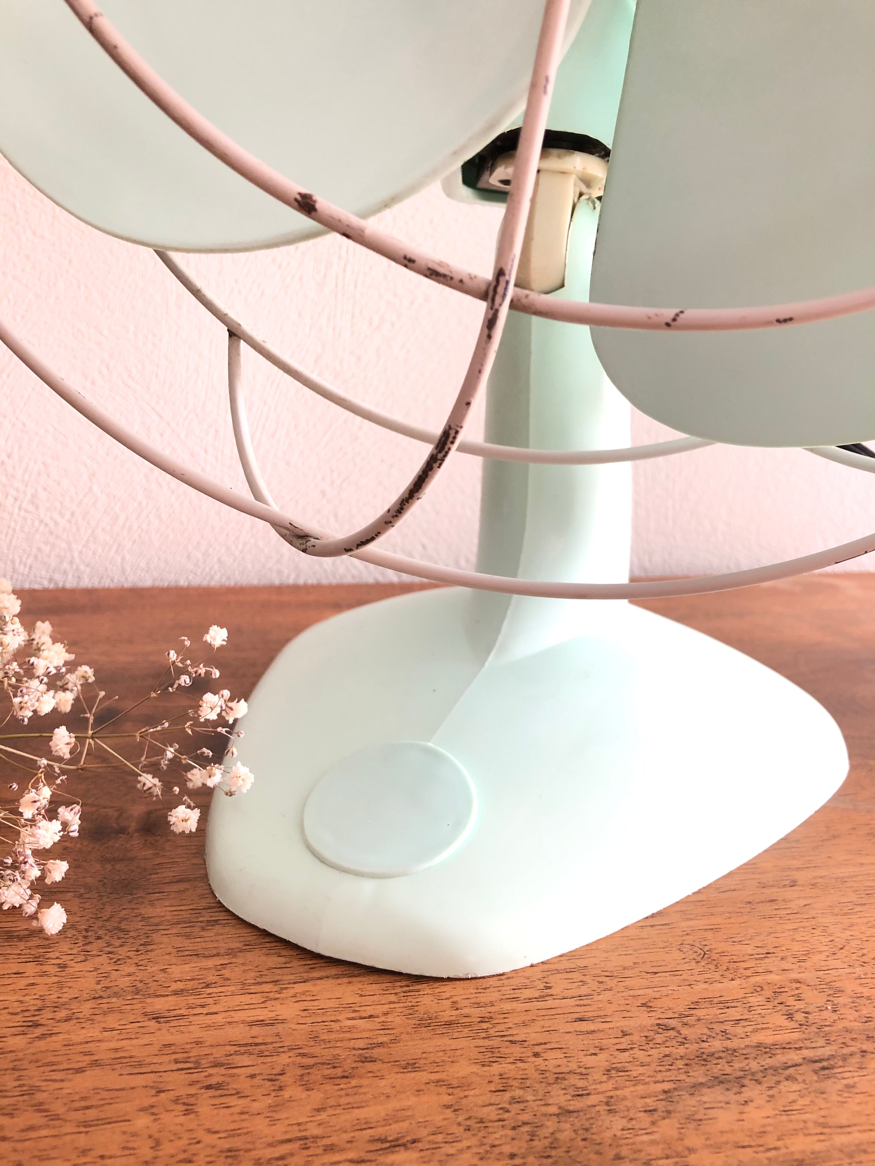 Calor Minth Vintage Fan