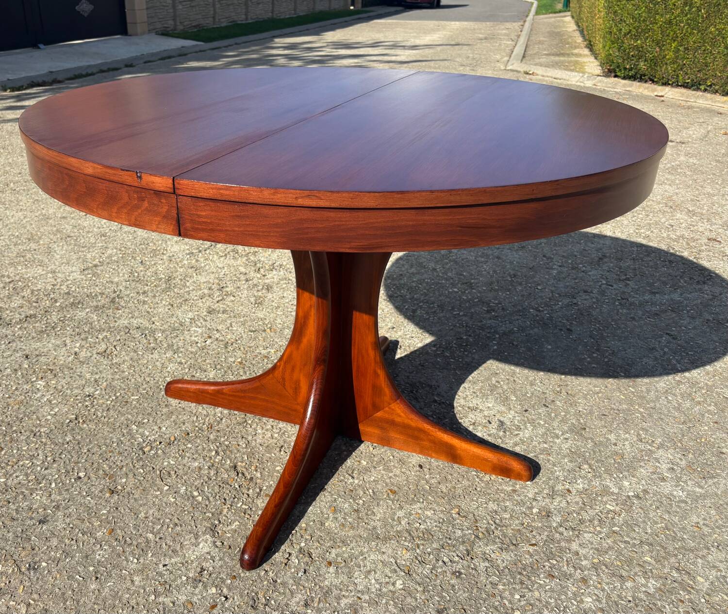 Baumann extendable table