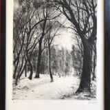 Forest under the snow, 1957. etching signed by marcel roche 1890-1959.