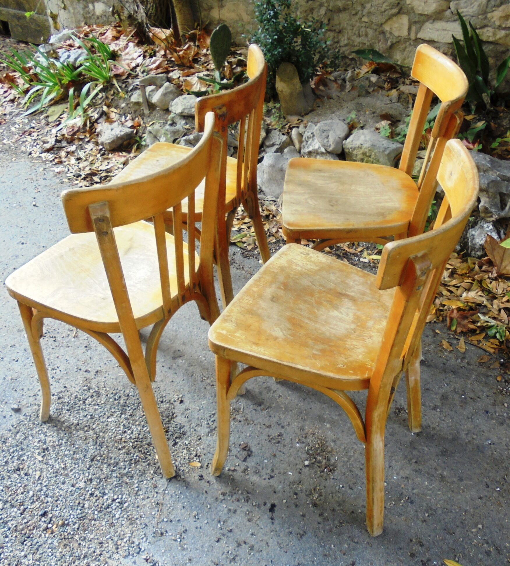 Baumann chairs