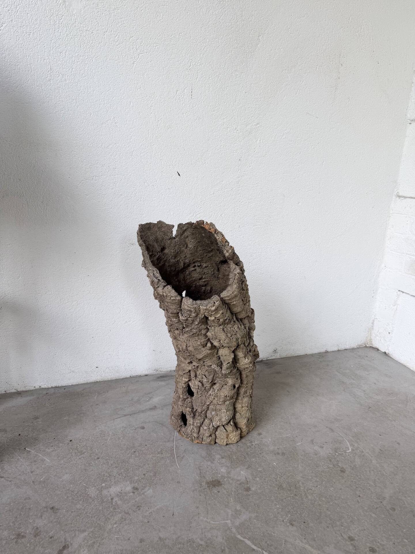 XL cork bark vase