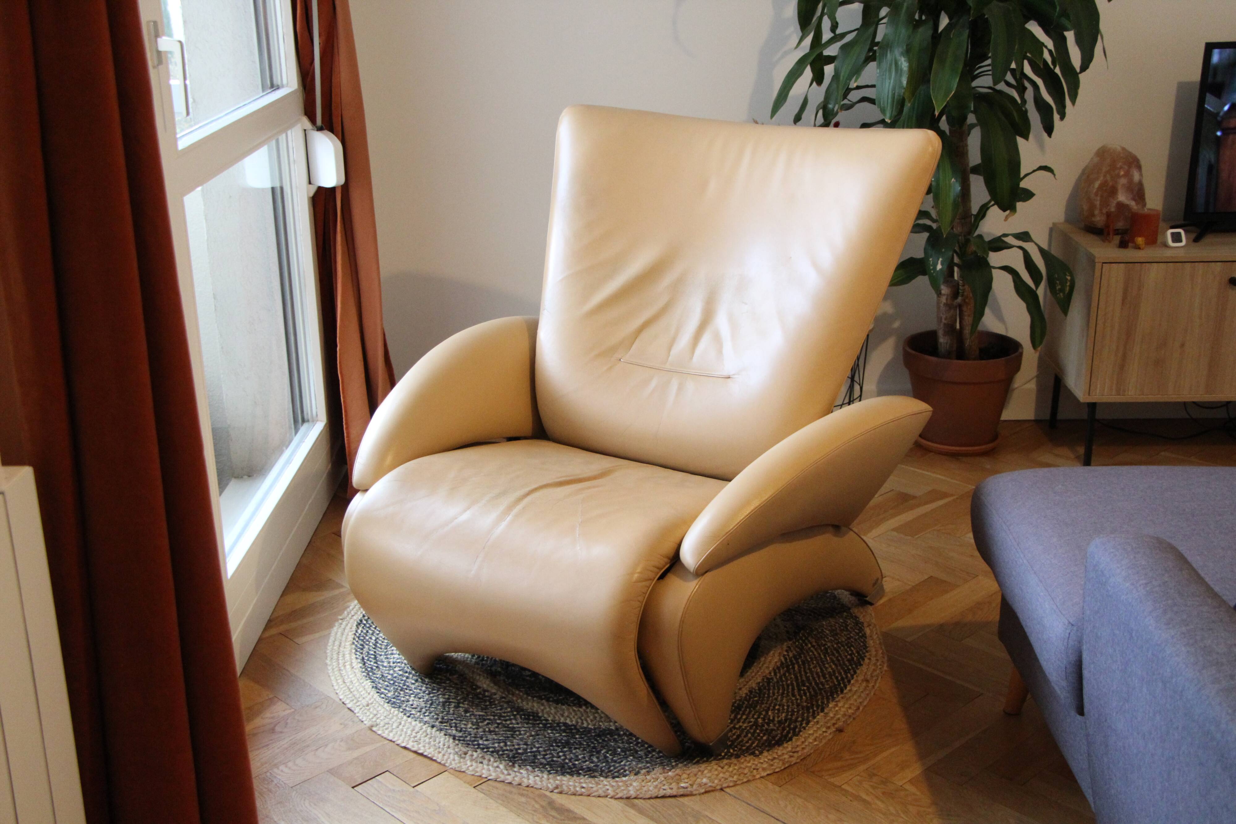 De Sede DS-260 armchair