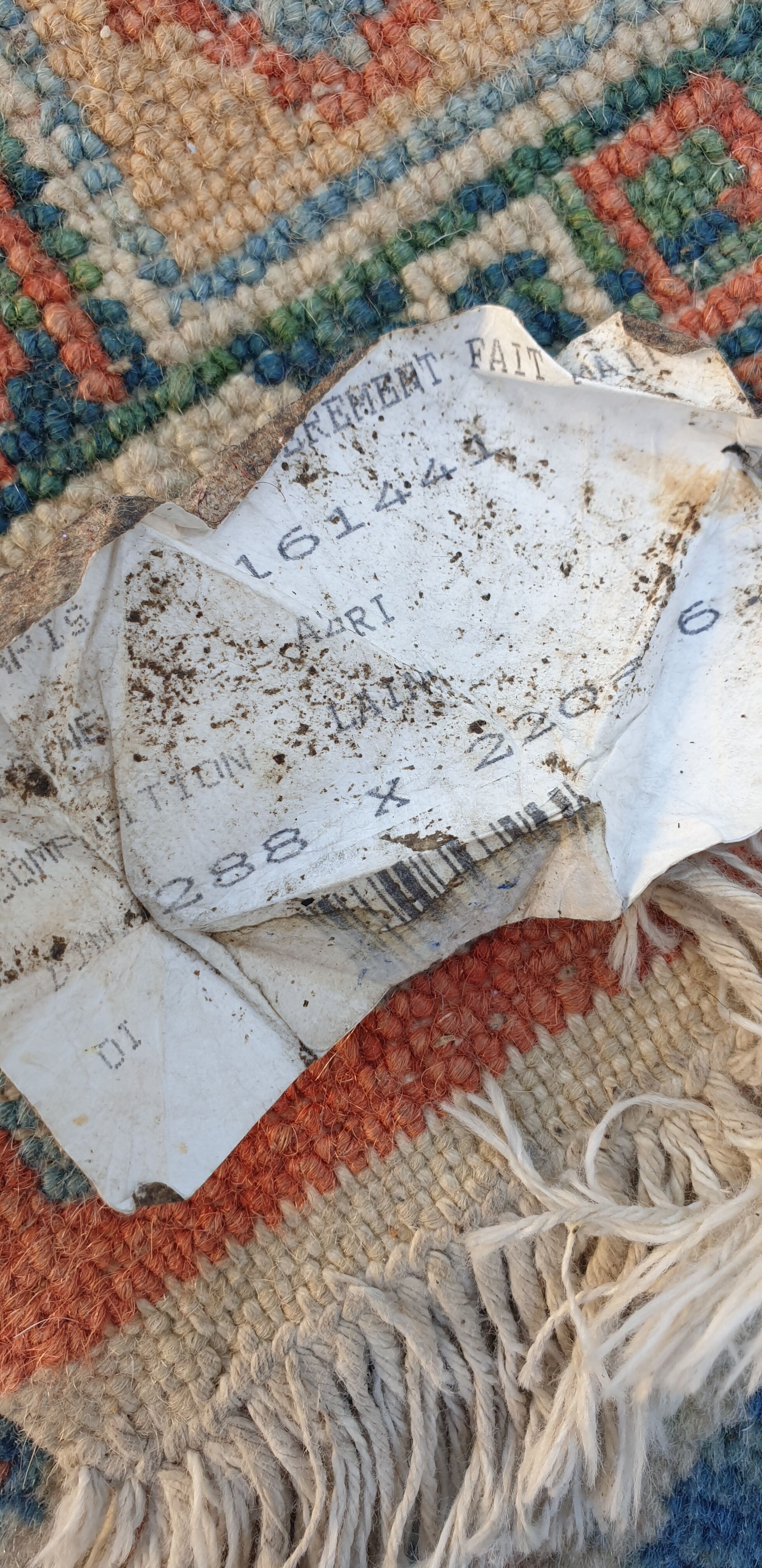 Azeri Oriental Carpet