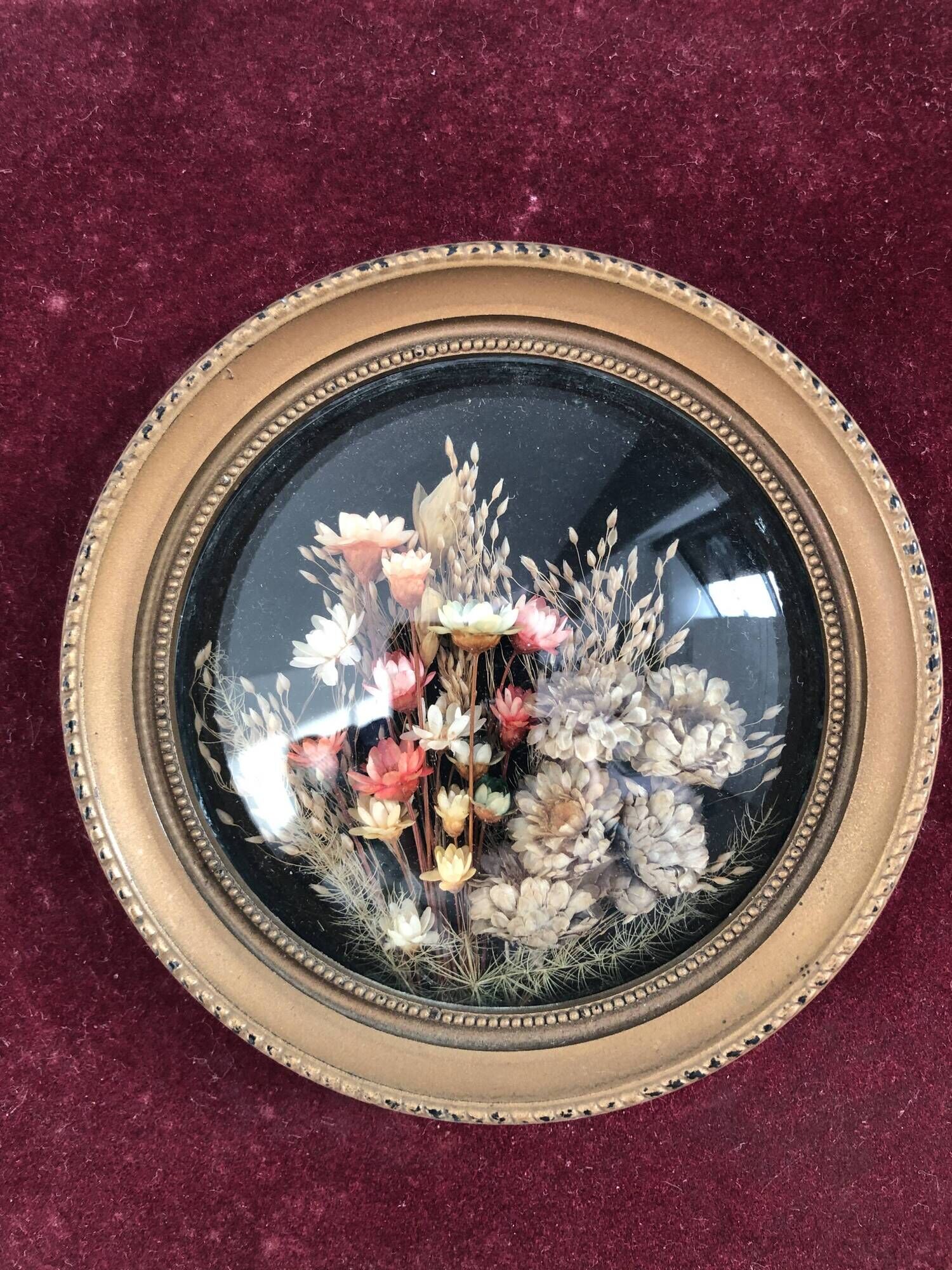 Bouquet of dried flowers - Bordeau velvet frame - bulging glass