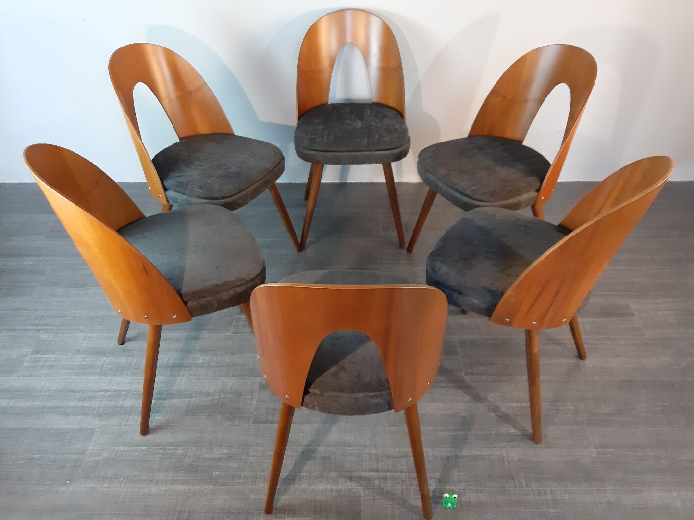 Set 6 chairs Walnut Suman by MIER, Mid-Century Czechoslovakia 1960 s