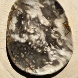 Very large empty pocket or dish in medium light petrified wood 1143
