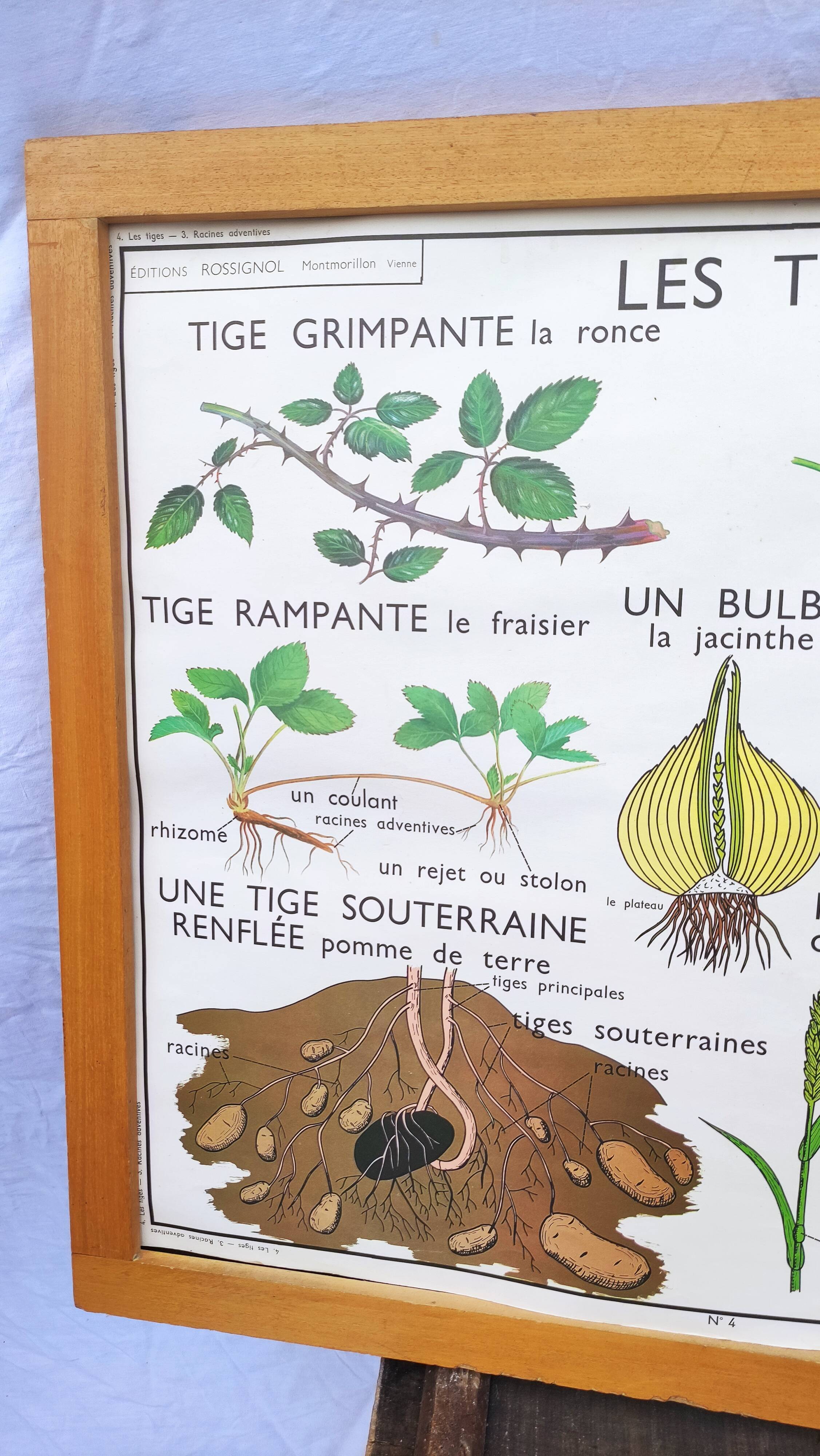Educational and school poster