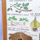 Educational and school poster
