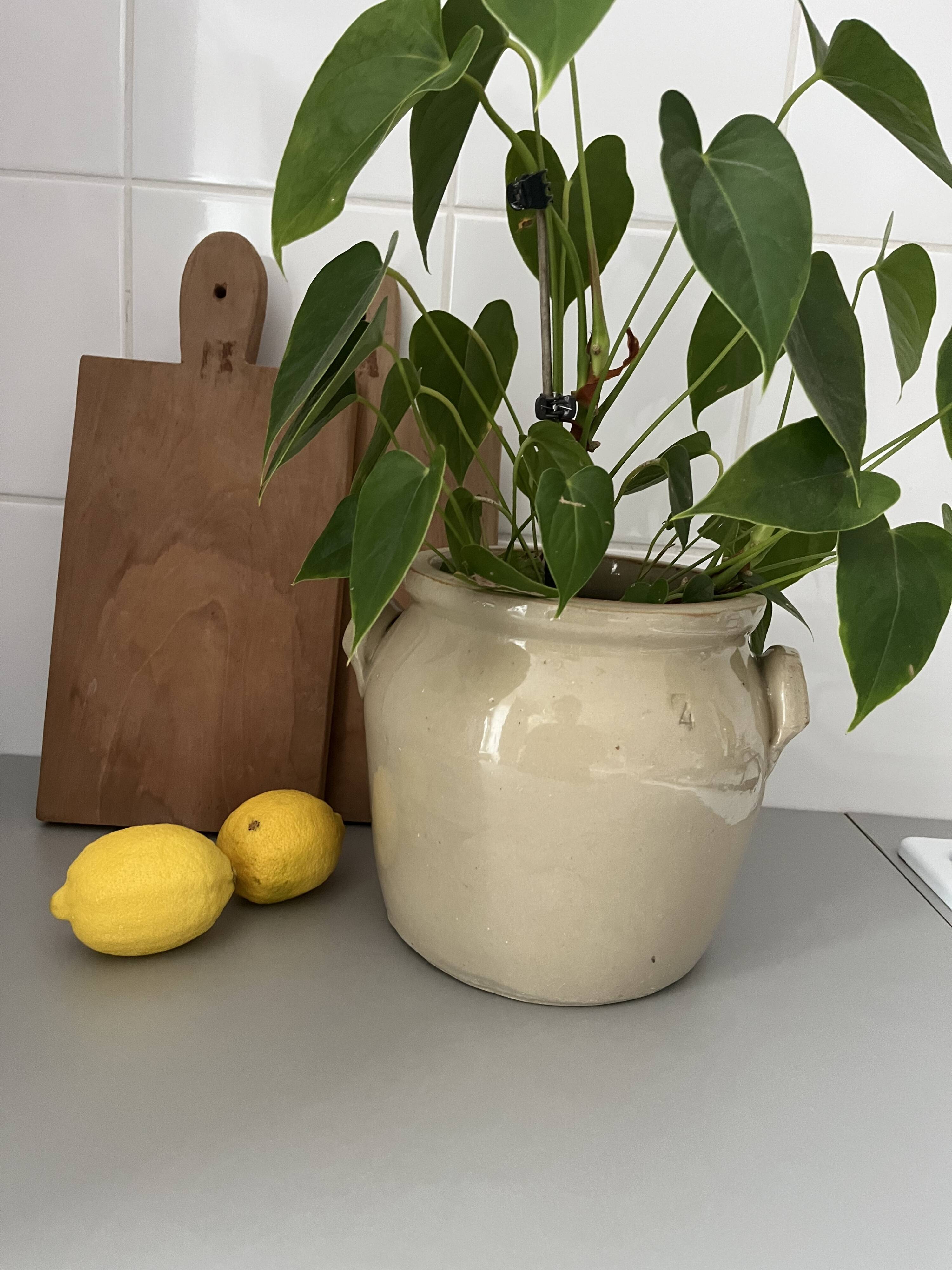 Old Digoin stoneware grease pot