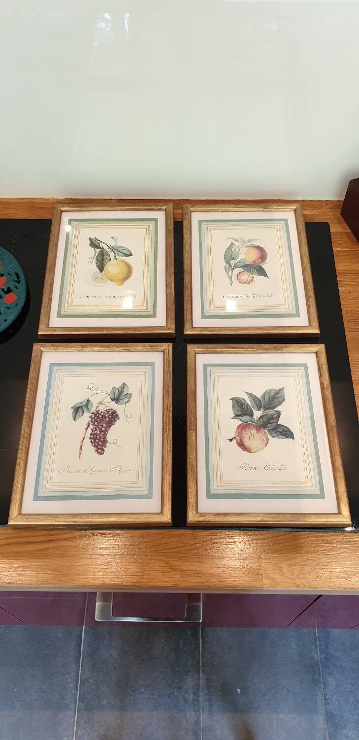 Calville apple botanical board