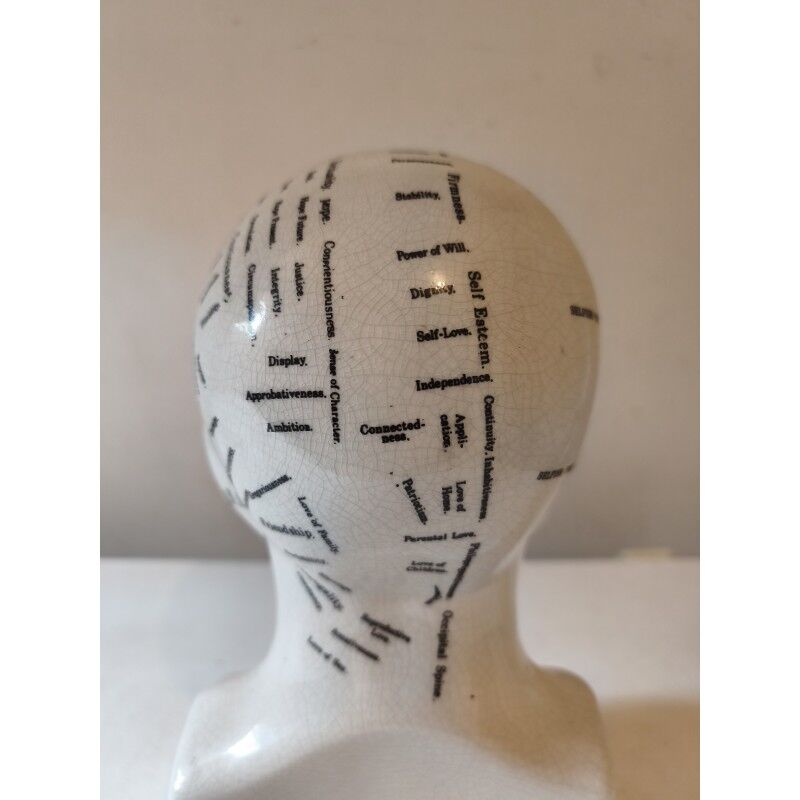 Cracked earthenware phrenology bust by Fowler