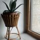 Bamboo and rattan plant holder tripod of the 50s